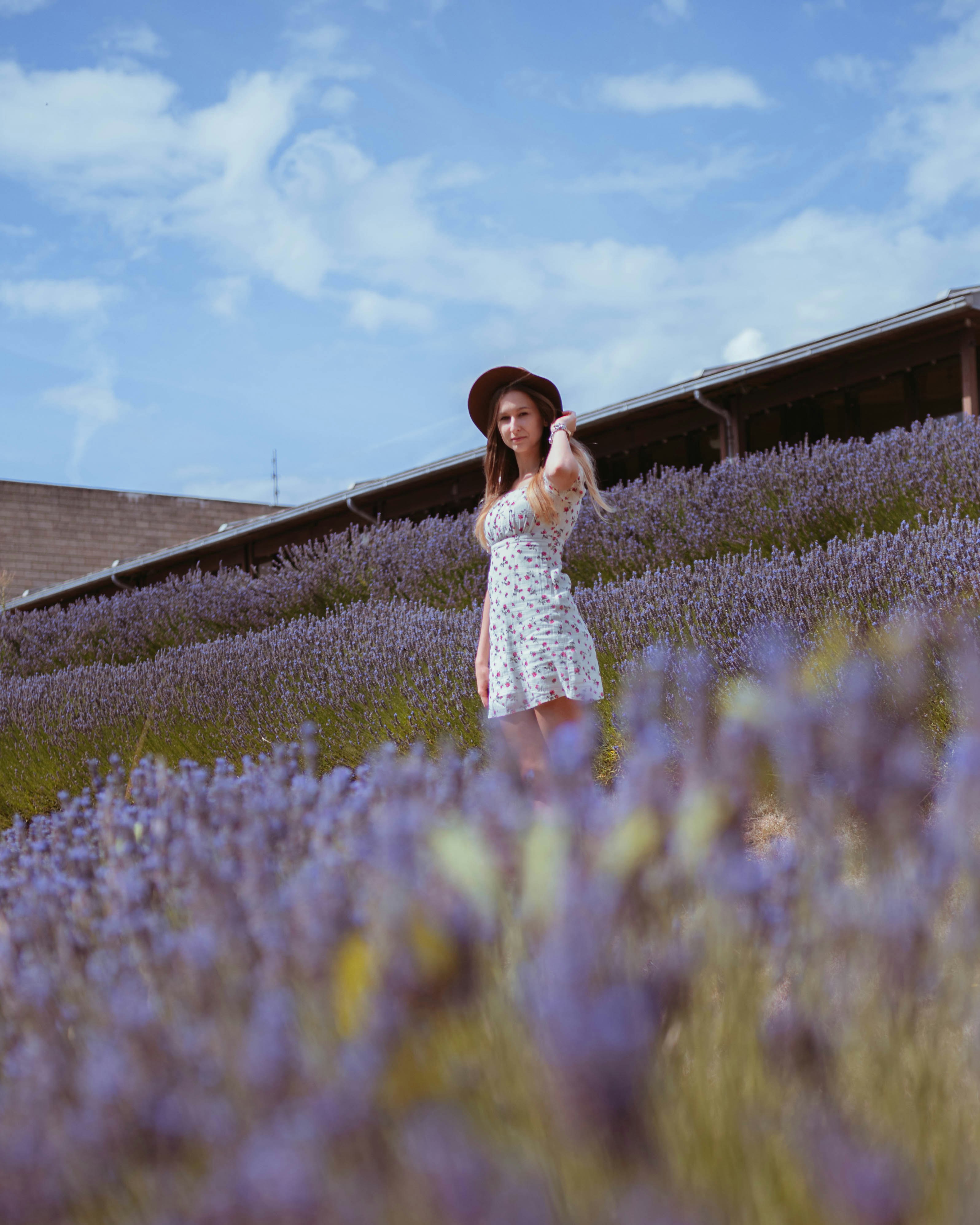 girl in white dress standing on purple flower field during daytime